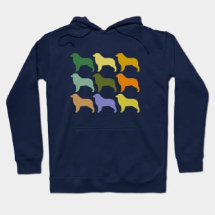 Australian Sheperd Dog in Rainbow Colors Hoodie